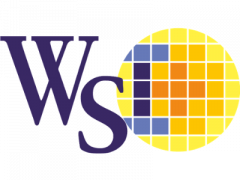 WiseChip Semiconductor Inc Logo